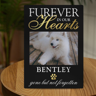 Pet Memorial Furever in our Heart Photo Plaque