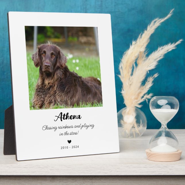 Pet Memorial Gift | In Loving Memory Plaque (Side)