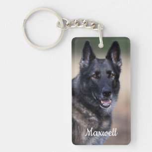 Pet Memorial - Heart Dog Pet Photo - 1RBB Pet Loss Keychain