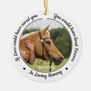 Pet Memorial Horse Loss  Sympathy Custom 2 Photo Ceramic Ornament