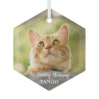 Pet Memorial In Loving Memory Simple Cat Photo