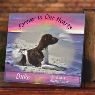 Pet Memorial In Our Hearts Sunset 0911 Plaque