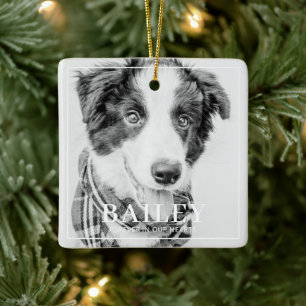 Pet Memorial Keepsake Forever In Our Hearts Photo Ceramic Ornament