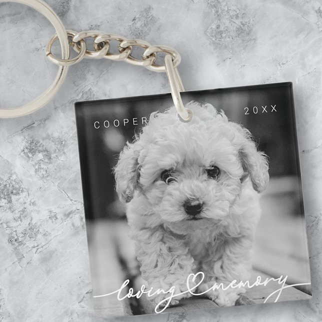 Pet Memorial Love Memory Simple Photo moderne (Créateur téléchargé)