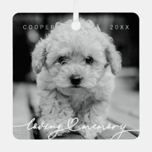 Pet Memorial Loving Memory Simple Modern Photo Metal Ornament