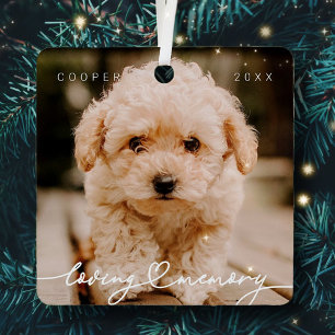 Pet Memorial Loving Memory Simple Modern Photo Metal Ornament