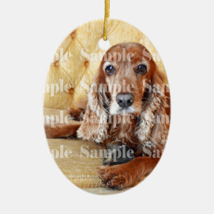 Pet memorial memory / PERSONALIZE photo Ceramic Ornament