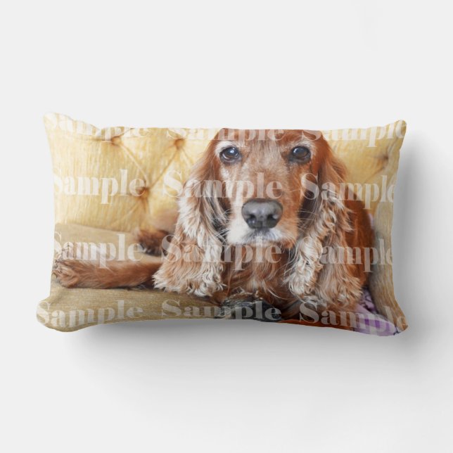 Pet memorial memory / PERSONALIZE photo Lumbar Pillow (Front)