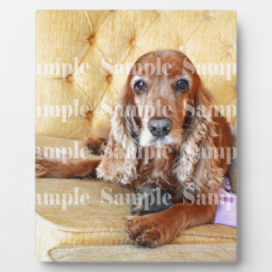 Pet memorial memory / PERSONALIZE photo Plaque
