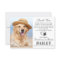 Pet Memorial Modern Photo Dog Loss Sympathy