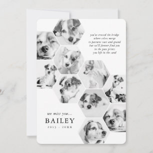 Pet Memorial Modern Simple 10 Photo Collage Card