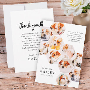 Pet Memorial Modern Simple 10 Photo Collage Thank You Card