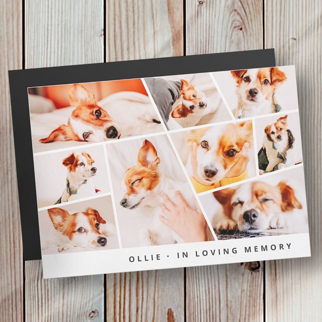 Pet Memorial Modern Simple 9 Photo Collage Card (Creator Uploaded)