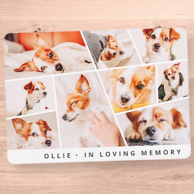 Pet Memorial Modern Simple Chic 9 Photos Collage (Creator Uploaded)