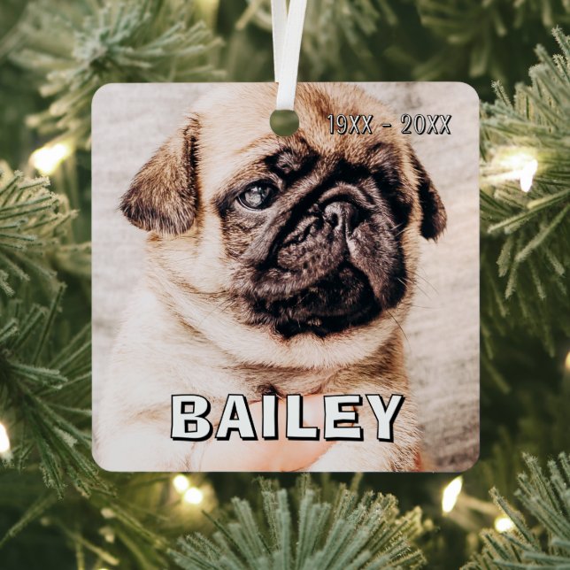Pet Memorial Modern Simple Custom Photo Metal Ornament (Insitu)