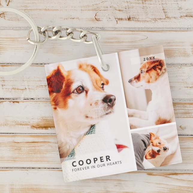 Pet Memorial Modern Simple Geometric Photo Collage Keychain (Creator Uploaded)