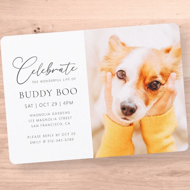 Pet Memorial Modern Simple Minimalist Chic Photo Invitation (Creator Uploaded)