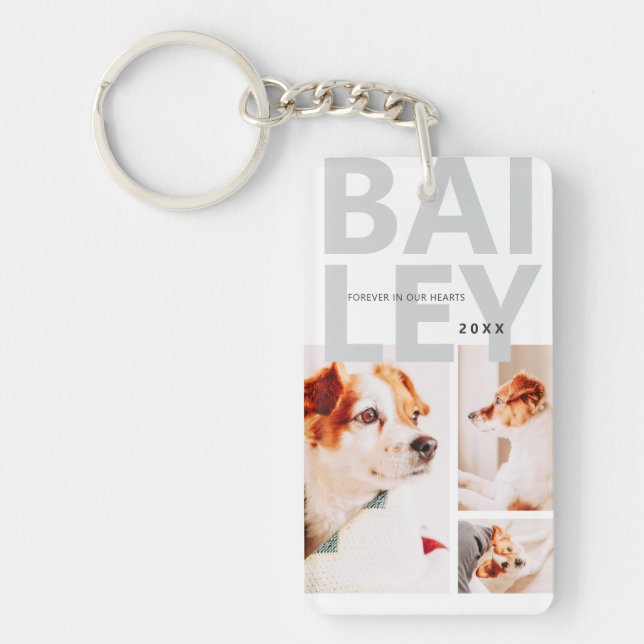 Pet Memorial Modern Simple Three Photo Collage Keychain (Front)