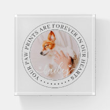 Pet Memorial Paw Prints Hearts Elegant Chic Photo