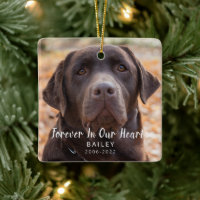 Pet Memorial Personalized Dog Photo