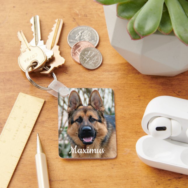 Pet Memorial Pet Loss Dog Rainbow Bridge Sympathy Keychain (Desk)