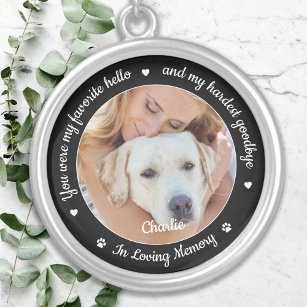 Pet Memorial Pet Loss Gift Personalized Dog Photo Silver Plated Necklace