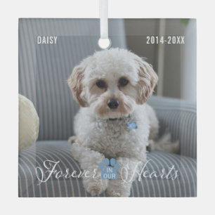 Pet Memorial Pet Loss Keepsake Photo and Name Glass Ornament