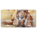 Pet memorial photo PERSONALIZE