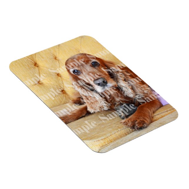 Pet memorial photo PERSONALIZE Magnet (Right Side)