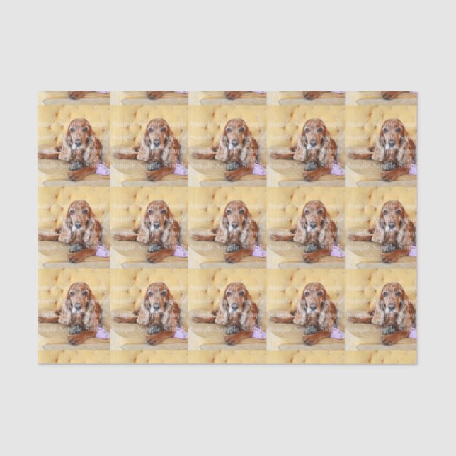 Pet memorial photo PERSONALIZE Tissue Paper (Front)