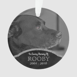 Pet Memorial Photo Personalized Name Christmas Ornament