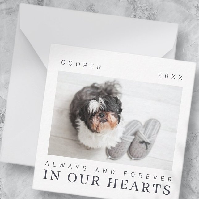 Pet Memorial Quote Simple Modern Chic Photo Card (Creator Uploaded)