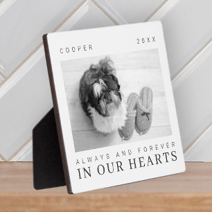 Pet Memorial Quote Simple Modern Chic Photo Plaque