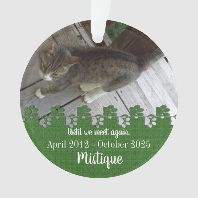 Pet Memorial Remembrance Beloved Keepsake Ornament (Front)