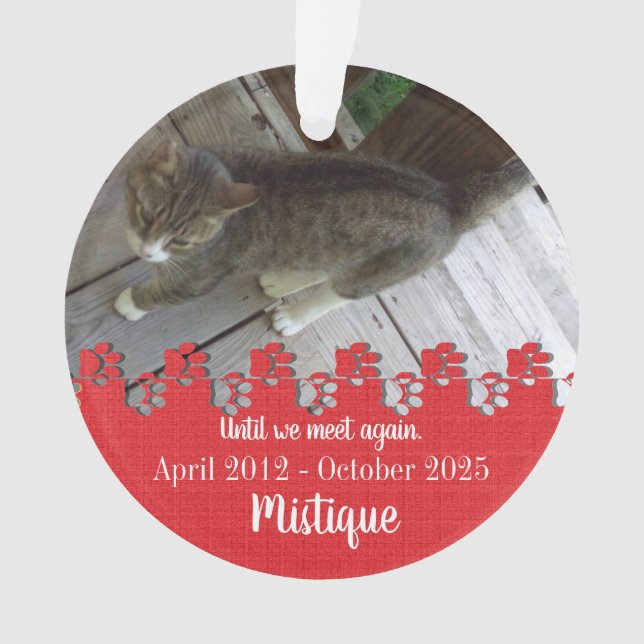 Pet Memorial Remembrance Beloved Keepsake Ornament (Front)
