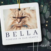 Pet Memorial Simple Modern Chic Family Photo