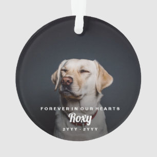 Pet Memorial Simple Photo Name and Years