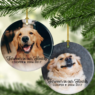 Pet Memorial   Sympathy   2 Photos Ornament