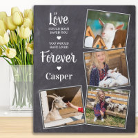 Pet Memorial Sympathy Keepsake Pet Loss 4 Photo