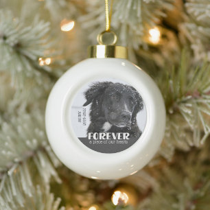 Pet Memorial Sympathy Photo Ceramic Ball Christmas Ornament