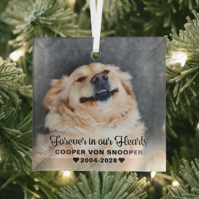 Pet Memorial Sympathy Photo Glass Ornament (Insitu)