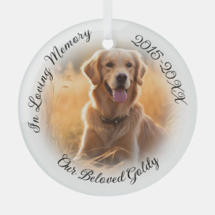 Pet Memorial With Soft White Photo Vignette Glass Ornament