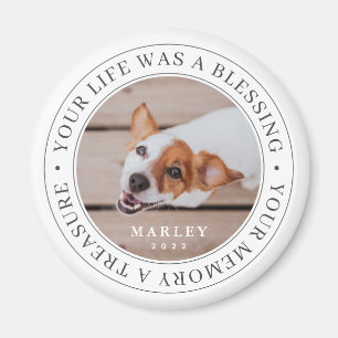 Pet Memorial Your Life a Blessing Modern Photo Magnet