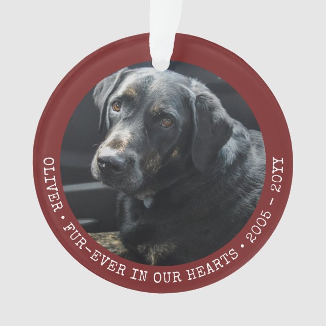 Pet Memory Chat Chien photo Forever Personnalisé (devant)