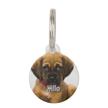 Pet Name and Address