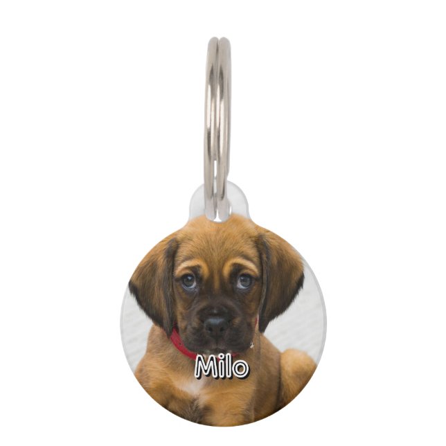 Pet Name and Address Pet Tag (Front)