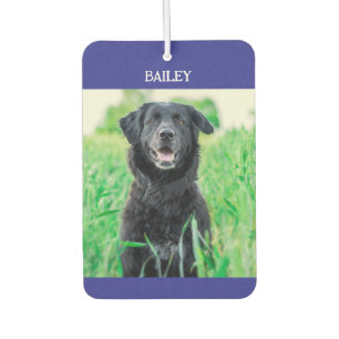 Pet Name and Photo  Air Freshener