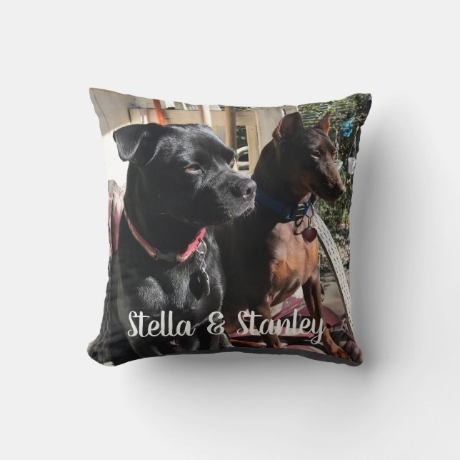 Pet Names Pillow Saying on back (Front)