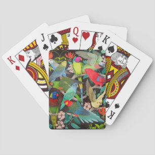 Pet Parrots of the Wold II Playing Cards