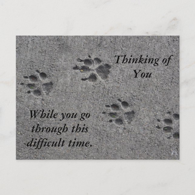 Pet Paws in Cement – Always There Postcard (Front)